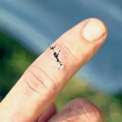 Palec z zaszytą raną. Czy szycie rany boli? To zależy od progu bólu i znieczulenia.
