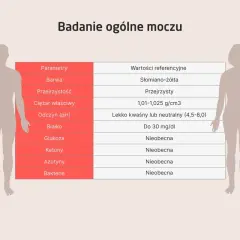 Badanie ogólne moczu: parametry, wartości referencyjne, co wykrywa. Tabela zawiera m.in. kolor, przejrzystość, ciężar właściwy, pH, białko, glukozę, ketony, azotyny i bakterie.