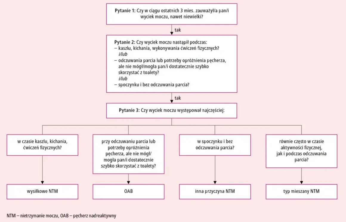 Schemat diagnostyczny problemów z oddawaniem moczu: wyciek podczas wysiłku, parcia lub w spoczynku, prowadzący do NTM wysiłkowego, OAB lub mieszanego.