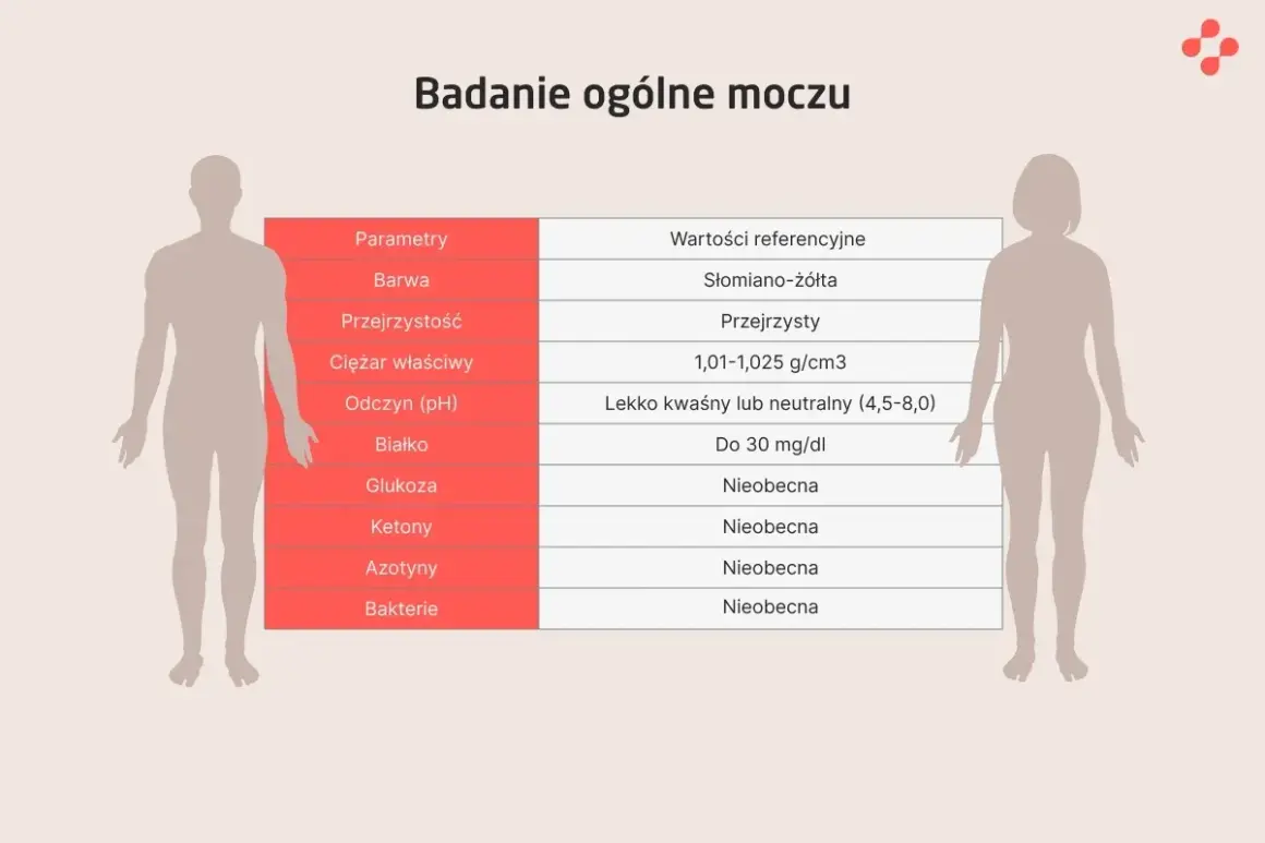 Badanie ogólne moczu: parametry, wartości referencyjne, co wykrywa. Tabela zawiera m.in. kolor, przejrzystość, ciężar właściwy, pH, białko, glukozę, ketony, azotyny i bakterie.